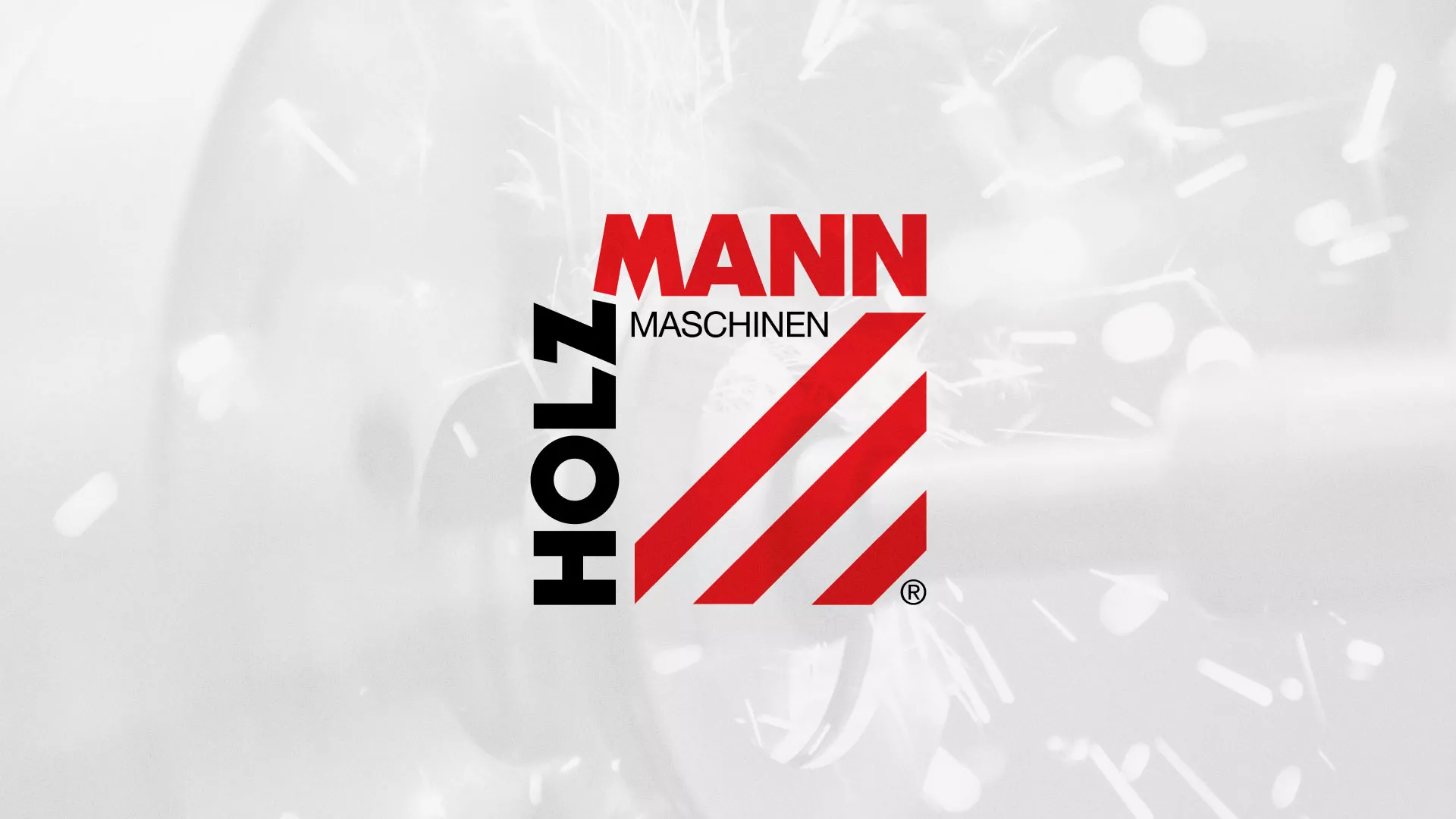 Создание сайта компании «HOLZMANN Maschinen GmbH» в Невели